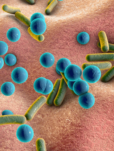 skin bacteria and microbiome